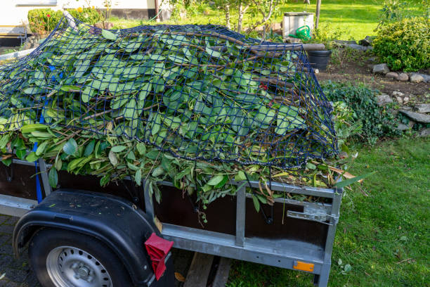 Best Scrap Metal Removal  in Nowthen, MN